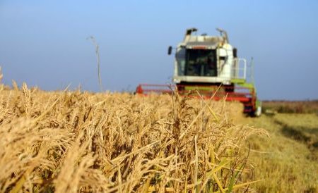 Criza economică din Portugalia ar putea renaşte agricultura din România