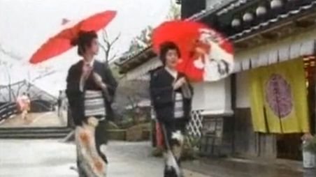 Satul Ninja, destinaţia favorită a turiştilor pasionaţi de cultura japoneză