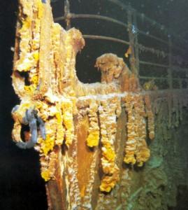 Un miliardar excentric vrea să construiască Titanic II. Vezi cine e şi când va fi gata 144131