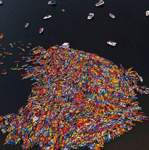 Când fotografia se confundă cu pictura. Una dintre cele mai reuşite poze ale anului 2012 144571