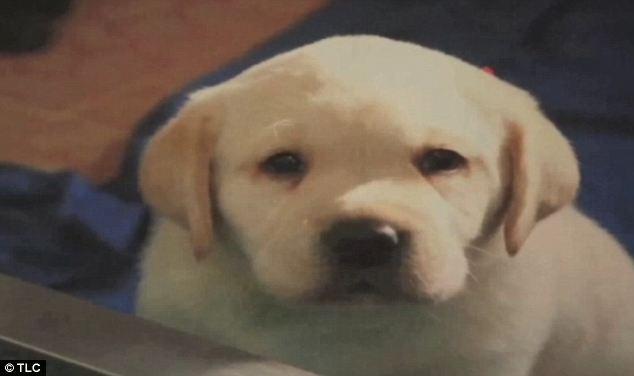 Moartea i-a împins să se joace de-a Dumnezeu. Au plătit 155.000 de dolari pentru ceva care a controversat lumea 145542