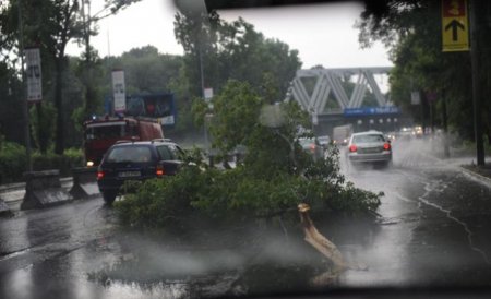 Furtunile au făcut ravagii în aproape toată ţara: Accidente rutiere, copaci doborâţi la pământ şi acoperişuri smulse