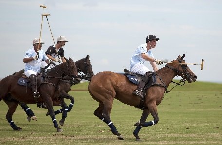 Prinţii William şi Harry şi-au etalat talentul la polo