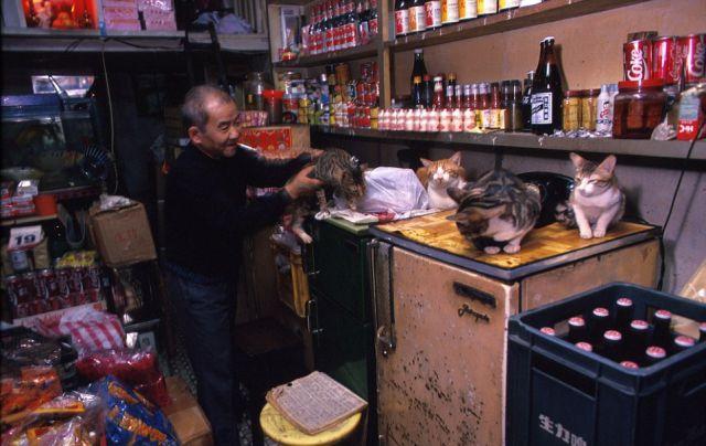 Imaginea aceasta a fost ca o palmă peste faţa chinezilor. Ferentariul din Bucureşti era hotel de 5 stele pe lângă asta 146220