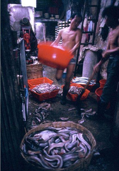 Imaginea aceasta a fost ca o palmă peste faţa chinezilor. Ferentariul din Bucureşti era hotel de 5 stele pe lângă asta 146224