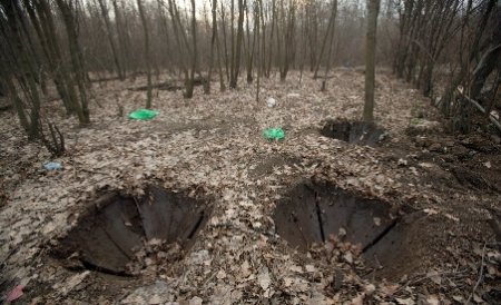 În România se taie trei hectare de pădure pe oră. Cât de mare este suprafaţa forestieră despădurită 