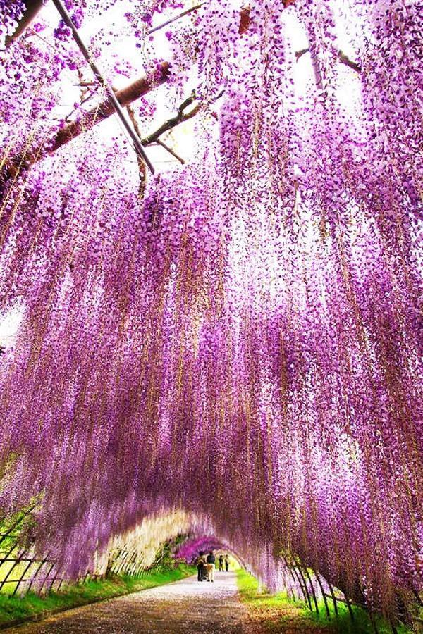 Locul în care ai vrea să îţi petreci veşnicia. Imaginile care fac din acest loc de pe Terra un colţ de rai 146614