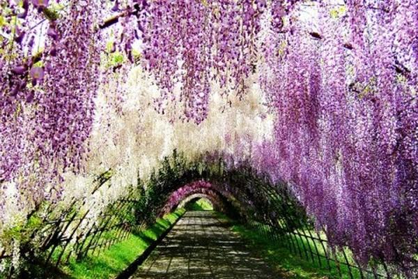 Locul în care ai vrea să îţi petreci veşnicia. Imaginile care fac din acest loc de pe Terra un colţ de rai 146620