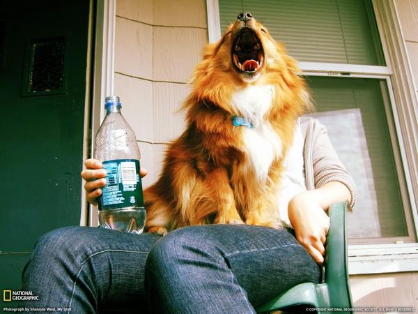 Viaţa, ca un zbor de păsări, în înaltul cerului. Cele mai frumoase fotografii din 2012 marca National Geographic 146606