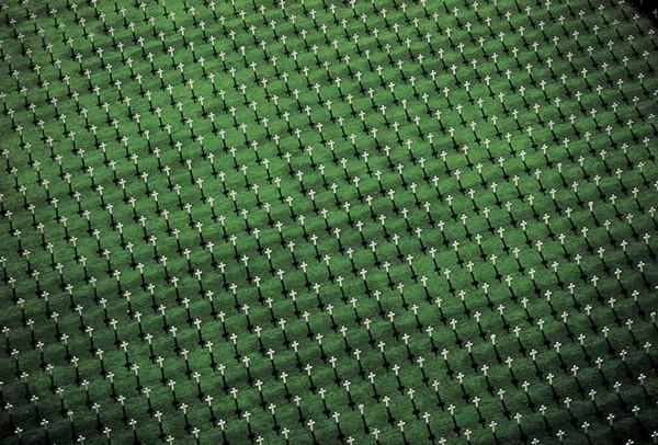 Vei fi impresionat când vei vedea ce semnifică această imagine. Citeşte mesajul codat pe care ni-l trimite Pământul 146772