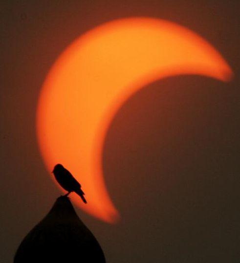 Imaginile care îţi vor tăia respiraţia. &quot;Cercul de foc&quot;, fenomenul care i-a uimit pe americani şi pe asiatici 147414