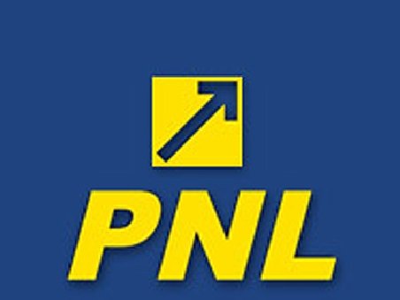 Candidaţi PNL - alegeri locale 2012