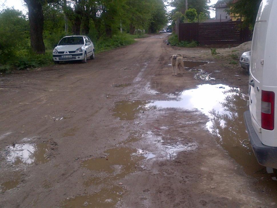 În fiecare seară aceşti oameni se roagă să nu plouă. Cum arată o stradă din sectorul 5 al Capitalei 148103