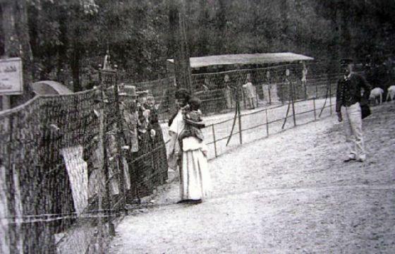 &quot;Haideţi la Zoo&quot; - reclama care astăzi îţi face pielea de găină. Cruzimea de care a fost capabilă omul alb 148761