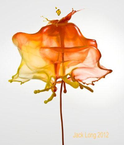 Opere de artă la secundă. Stropii de culoare care schimbă percepţia despre fotografie 149008