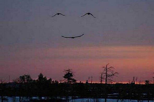 Cele mai tari poze făcute la momentul potrivit. Vezi aici o galerie foto de excepţie 149233