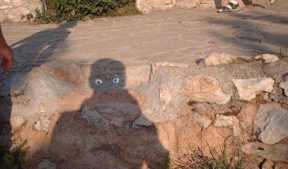 Cele mai tari poze făcute la momentul potrivit. Vezi aici o galerie foto de excepţie 149237