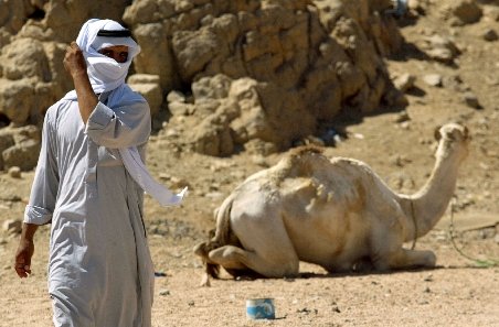 Doi turişti americani, răpiţi de beduini în peninsula egipteană Sinai
