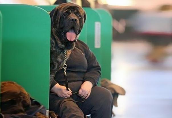 Cele mai bune momente surprinse în fotografii 149688