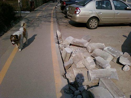 Să vă ferească sfântu' de &quot;borduriada electorală&quot;. Curăţenie de campanie: borduri proaspăt puse, aruncate la gunoi 150019