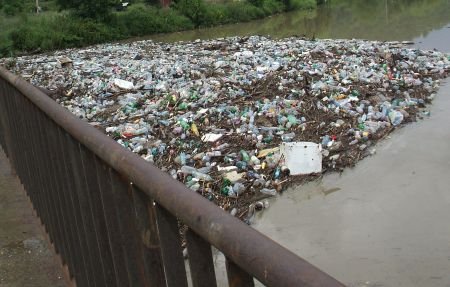 Cadavrele de animale şi tonele de gunoaie sufocă Dunărea