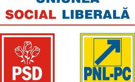 Elena Udrea, Adriean Videanu şi Liviu Negoiţă, acţionaţi în instanţă de USL