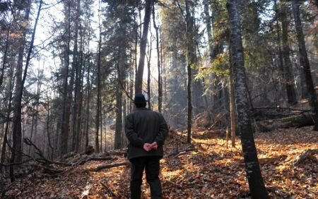 Un militar de la o unitate din Alba Iulia a fost găsit mort într-o pădure de lângă oraş