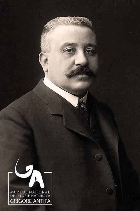 Copilul tău merită o aventură! Va putea petrece noaptea la Muzeul Antipa „legănat de Deinotherium” 151425