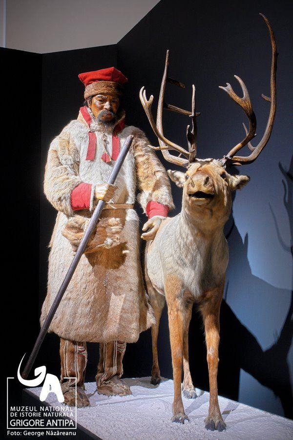 Copilul tău merită o aventură! Va putea petrece noaptea la Muzeul Antipa „legănat de Deinotherium” 151426