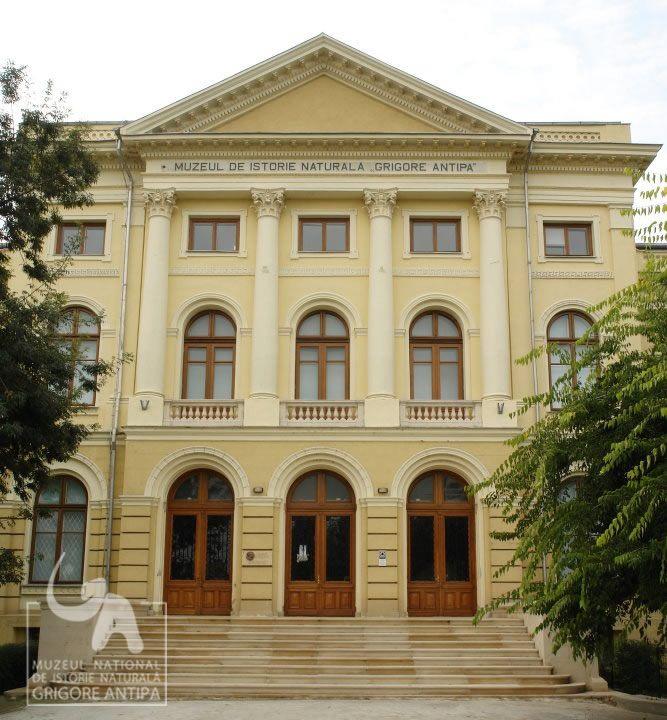 Copilul tău merită o aventură! Va putea petrece noaptea la Muzeul Antipa „legănat de Deinotherium” 151428