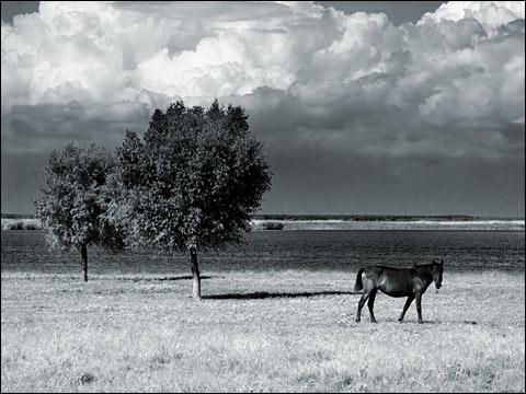 Lumea ireală la 320 de km de Bucureşti. Locul este unic în Europa, iar cei care l-au văzut au spus că este Raiul 151894
