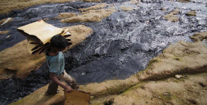 Economia protejării Planetei. Umanitatea trăieşte la limită. Nu ne mai permitem să nu luăm atitudine 152306