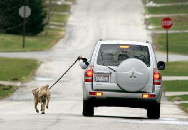 Şi românii le au pe ale lor, dar parcă nu chiar aşa. Ţara care a făcut din mâncare o emblemă ruşinoasă 152179