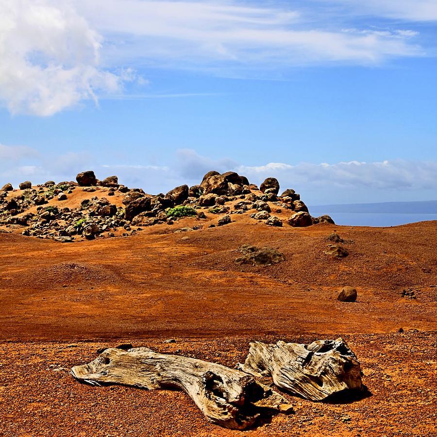 „Grădina Zeilor“, cumpărată de al şaselea miliardar al lumii. Locul nu are semafoare şi nici drumuri asfaltate 152877