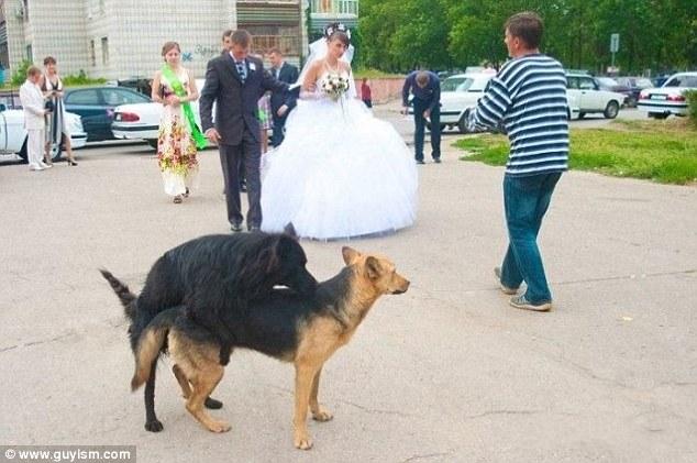 Li se citeşte fericirea pe chip. Fotografiile de la nunta lor spun povestea dezastrului în imagini 153155