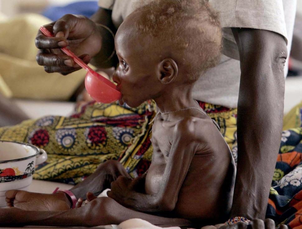 Provocarea: Foamete zero. &quot;Într-o lume a abundenţei, nici o singură persoană nu trebuie să fie înfometată” 153087