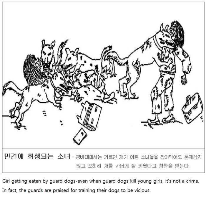 Blestemul vieţii într-un lagăr de concentrare din Coreea de Nord. Fetele sunt mâncate de vii de câinii soldaţilor 153472