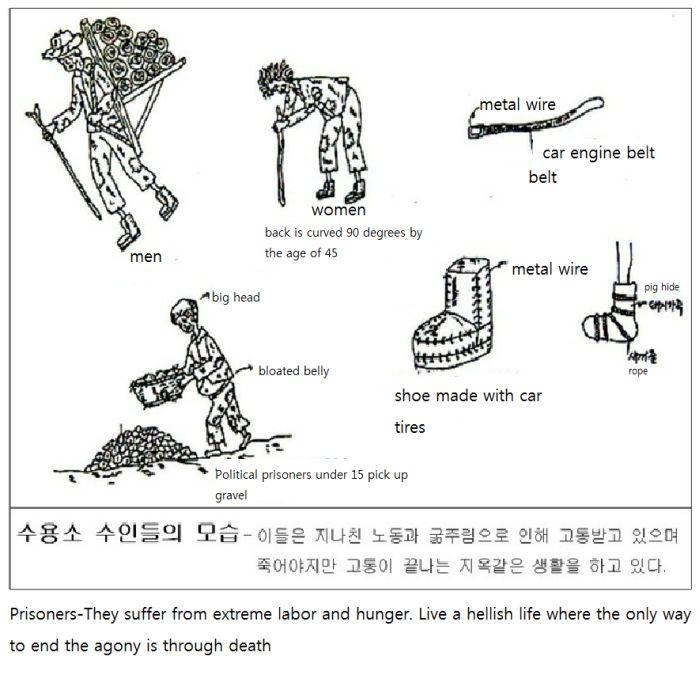 Blestemul vieţii într-un lagăr de concentrare din Coreea de Nord. Fetele sunt mâncate de vii de câinii soldaţilor 153473
