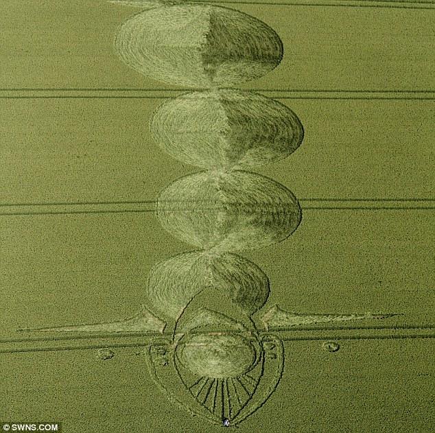 Au fost şocaţi când au văzut semnele din lanurile de cereale. Cercetători: &quot;Nu avem niciun răspuns care stă în picioare&quot; 154262