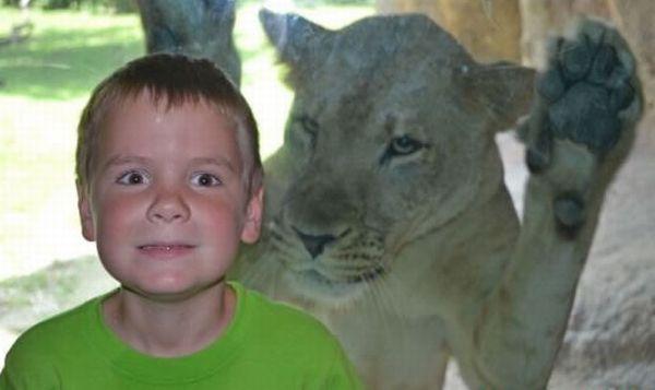 Cea mai tare poză care circulă pe internet. N-ai mai văzut niciodată aşa ceva 154445