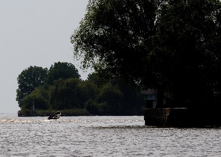 Ordin al ministrului Mediului: Vânătoarea în Delta Dunării va fi interzisă