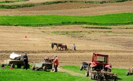 Ţăranii ar putea scoate România din criză. Câte persoane lucrează în mediul rural fără să plătească taxe