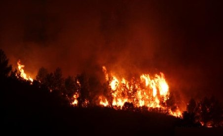 Incendii de proporţii în Spania. Aproape 50.000 de hectare de teren, mistuite de flăcări