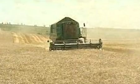 Cu un tractor şi câteva hectare de teren se pot scoate bani din pământ. Cum se îmbogăţesc fermierii