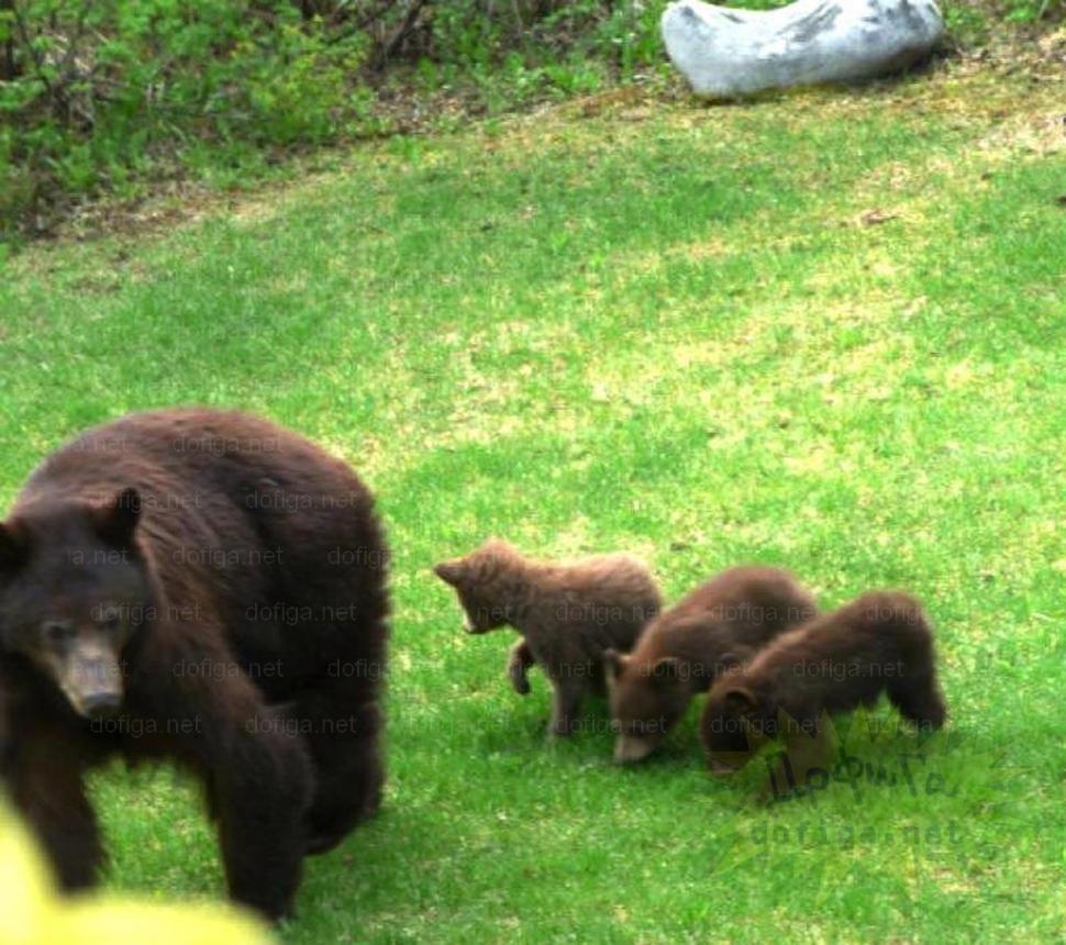 Nu le-a venit să creadă ce au găsit în maşina lor. Ţi se poate întâmpla şi ţie dacă parchezi la munte 156269