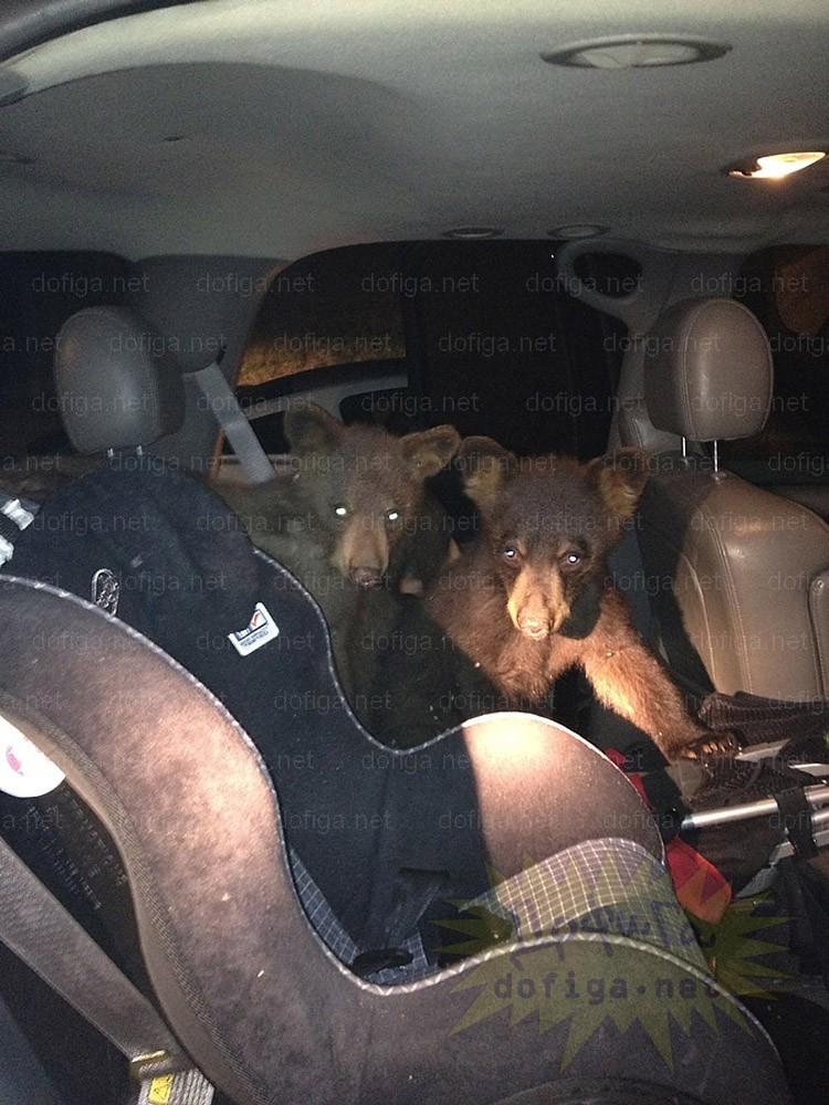 Nu le-a venit să creadă ce au găsit în maşina lor. Ţi se poate întâmpla şi ţie dacă parchezi la munte 156270