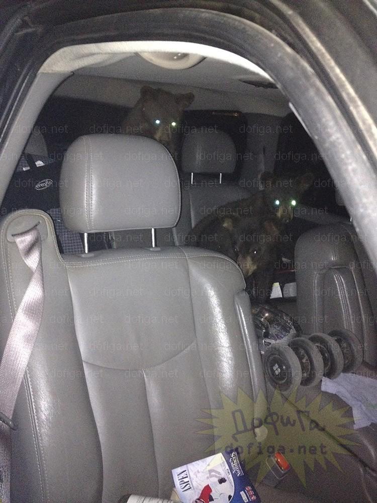 Nu le-a venit să creadă ce au găsit în maşina lor. Ţi se poate întâmpla şi ţie dacă parchezi la munte 156271