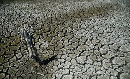 Râurile au secat, iar terenurile agricole au început să se crape. Efectele devastatoare ale caniculei