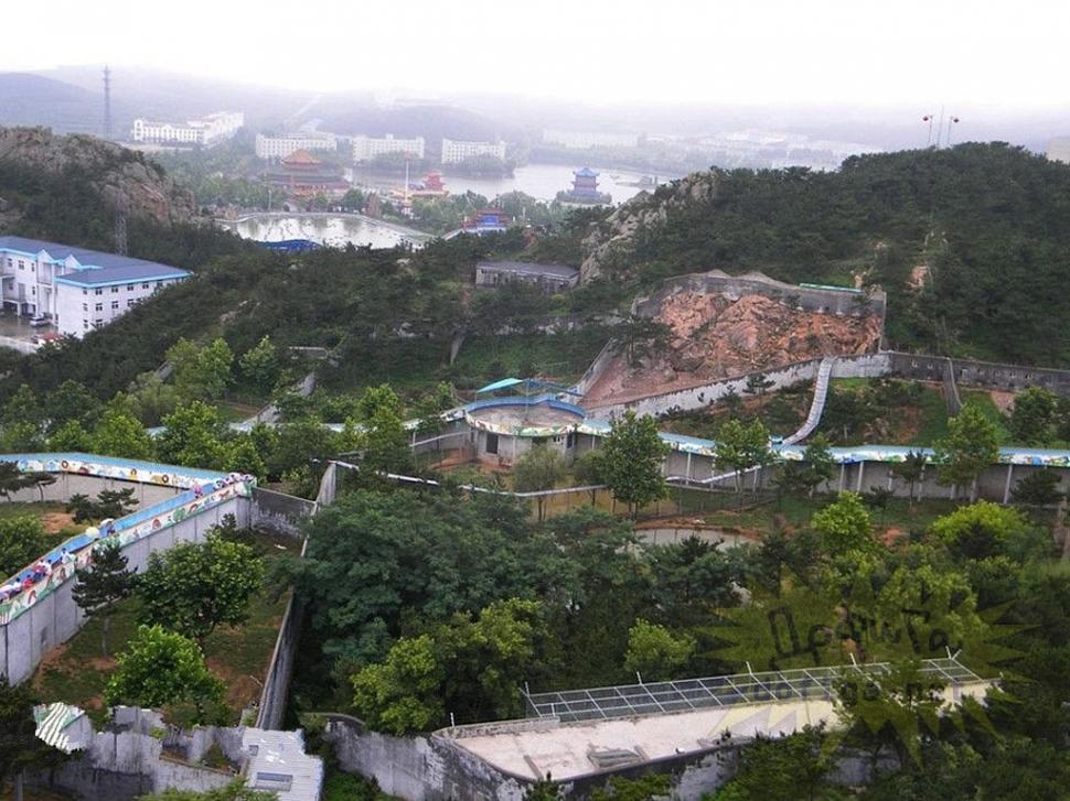 Imaginile sfâşietoare surprinse într-o grădină zoo. Nimeni nu a prevăzut atacul şocant al tigrilor 156910