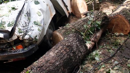 Circulaţia rutieră pe DN17 a fost blocată după ce un copac a căzut peste o maşină
